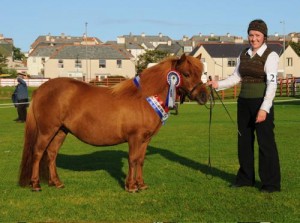 Elaine Tait with the supreme champion Merkisayre Dion, owned by George Tait from Burra. Photo: Dave Donaldson
