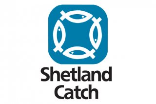 Shetland Catch1