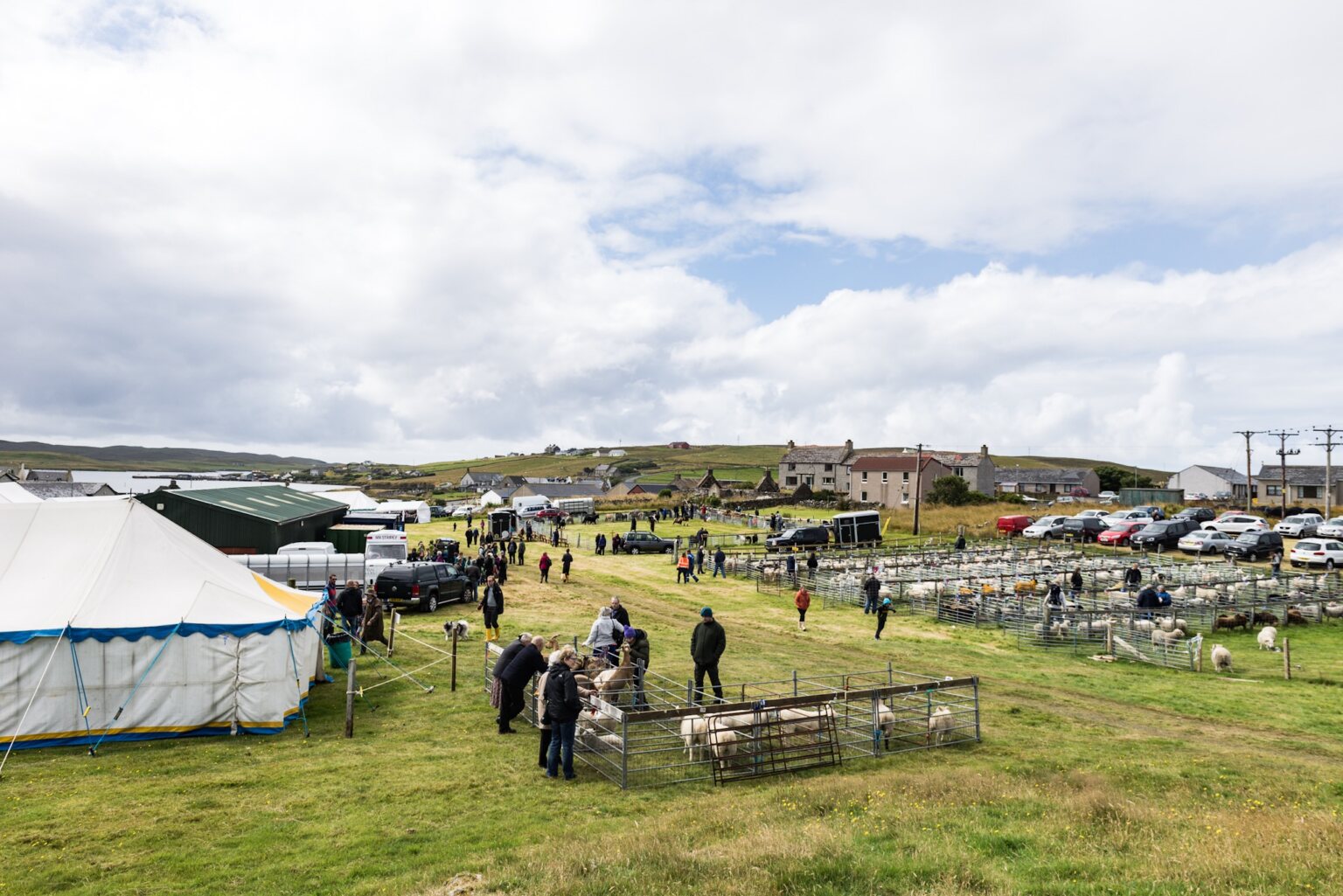 Walls Show | The Shetland Times Ltd