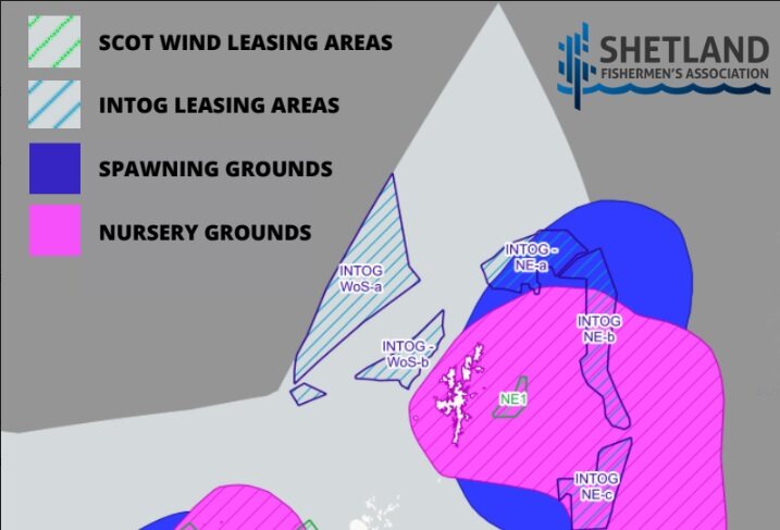 Haddock spawning and nursery grounds are shown to overlap with areas proposed for possible offshore windfarms. Image: SFA.