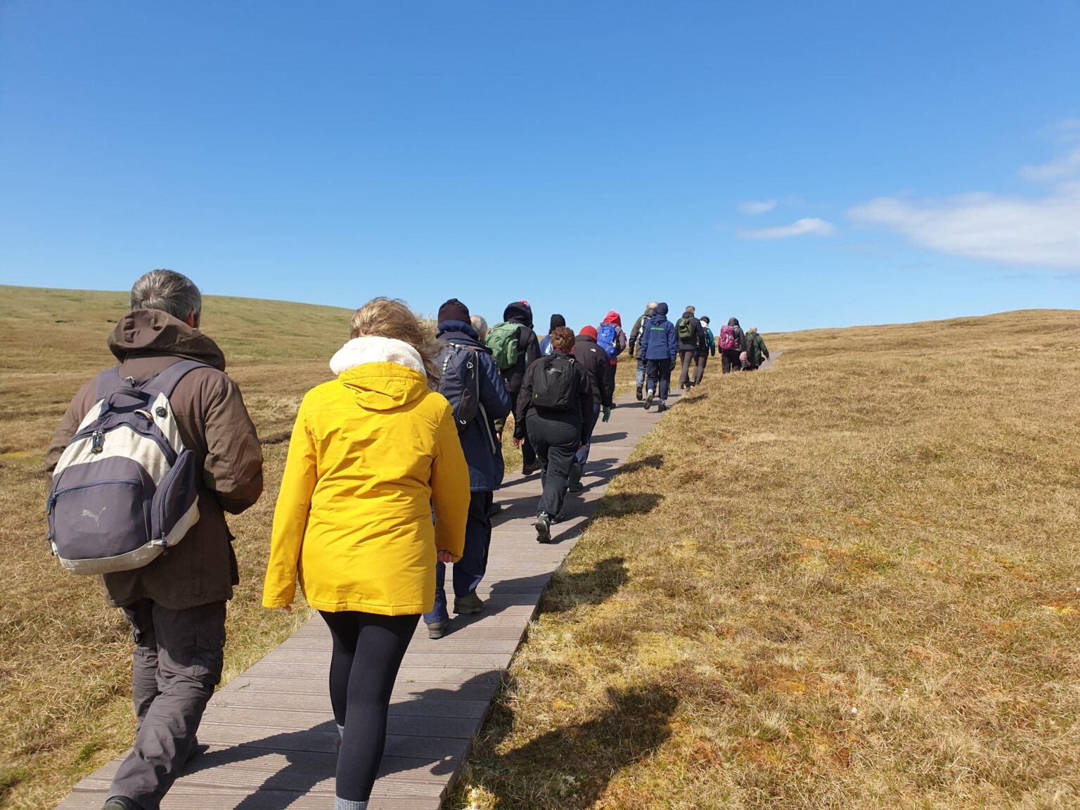 Record number of visitors to Hermaness | The Shetland Times Ltd