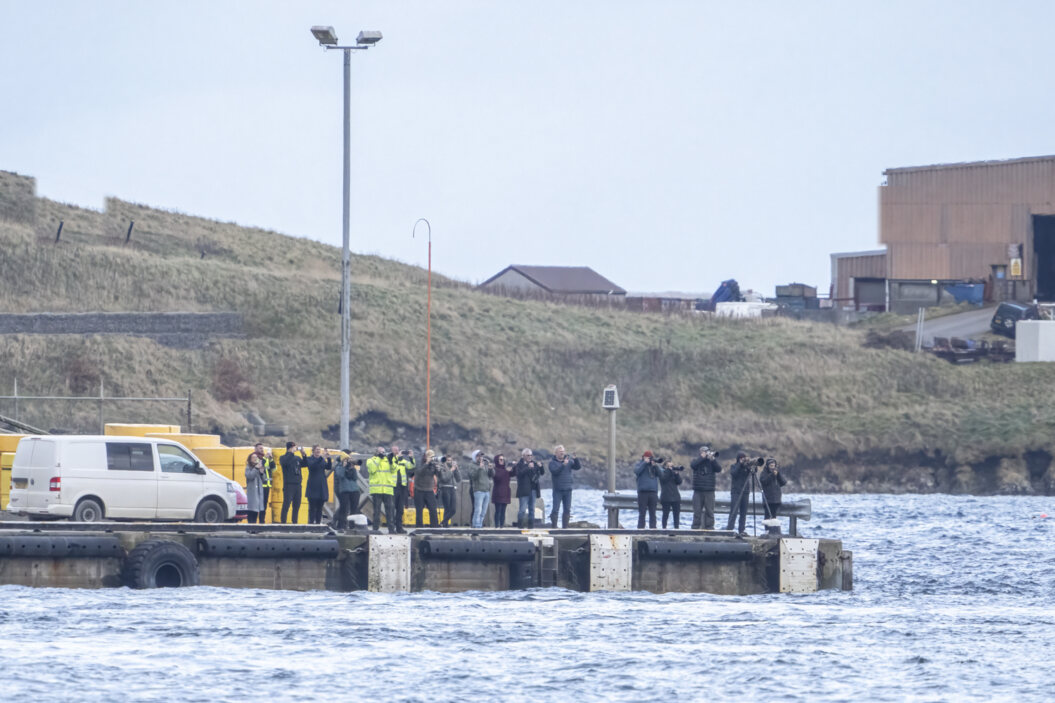 Crowd of excited orca watchers at Greenhead port yesterday. Photo: Richard Ashbee 